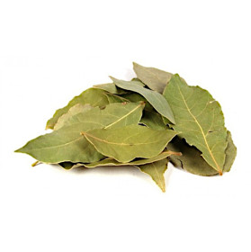 Лавровий Лист