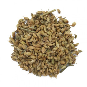 Уцхо-Сунелі